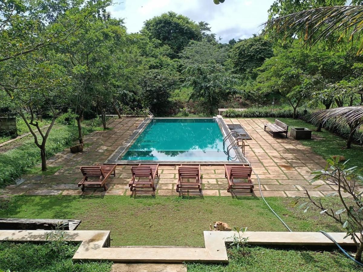 Spice Village Hotel & Restaurant ฮาบารานา ภายนอก รูปภาพ