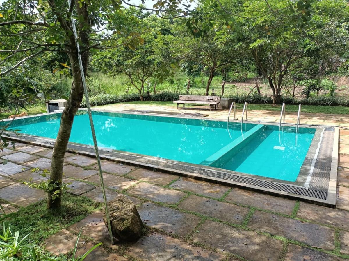 Spice Village Hotel & Restaurant ฮาบารานา ภายนอก รูปภาพ